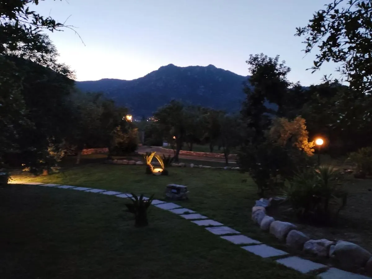 Villa Marina Villasimius Holiday home